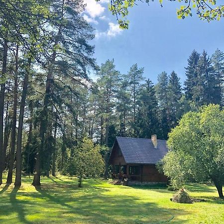 Rojaus Slenis Villa Druskininkai Exteriör bild