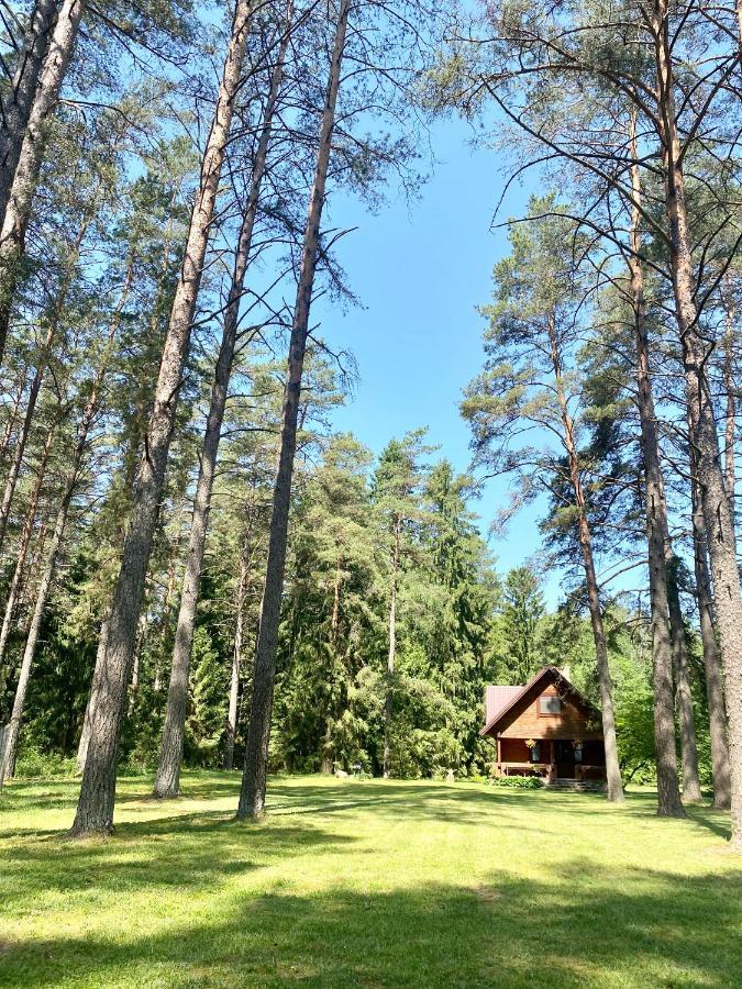 Rojaus Slenis Villa Druskininkai Exteriör bild