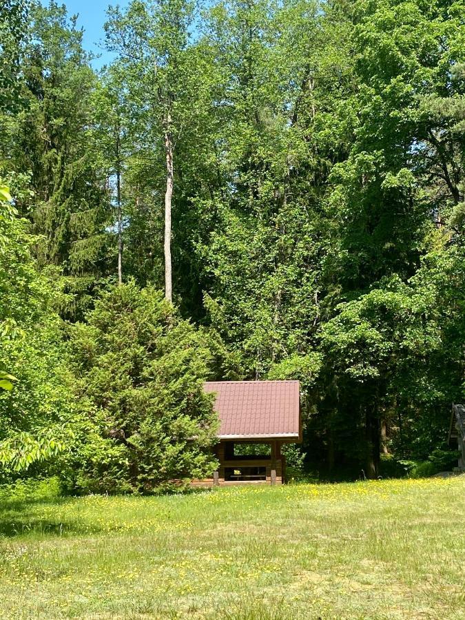 Rojaus Slenis Villa Druskininkai Exteriör bild
