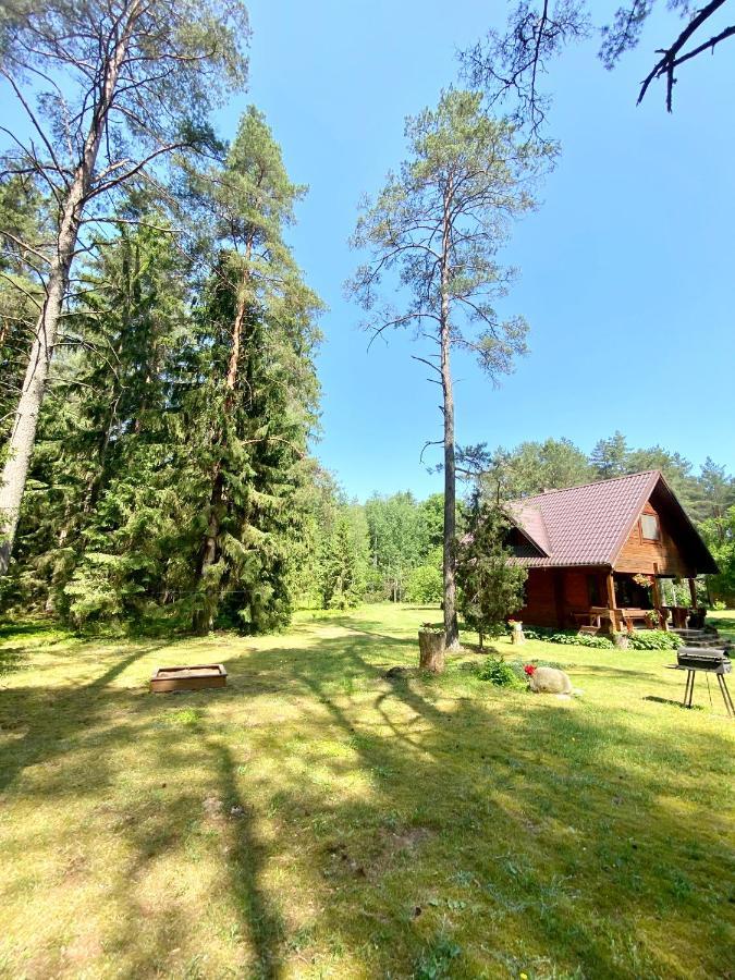 Rojaus Slenis Villa Druskininkai Exteriör bild