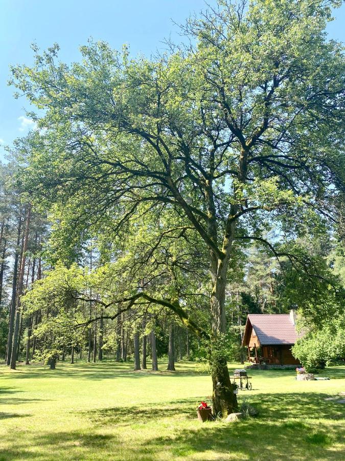 Rojaus Slenis Villa Druskininkai Exteriör bild