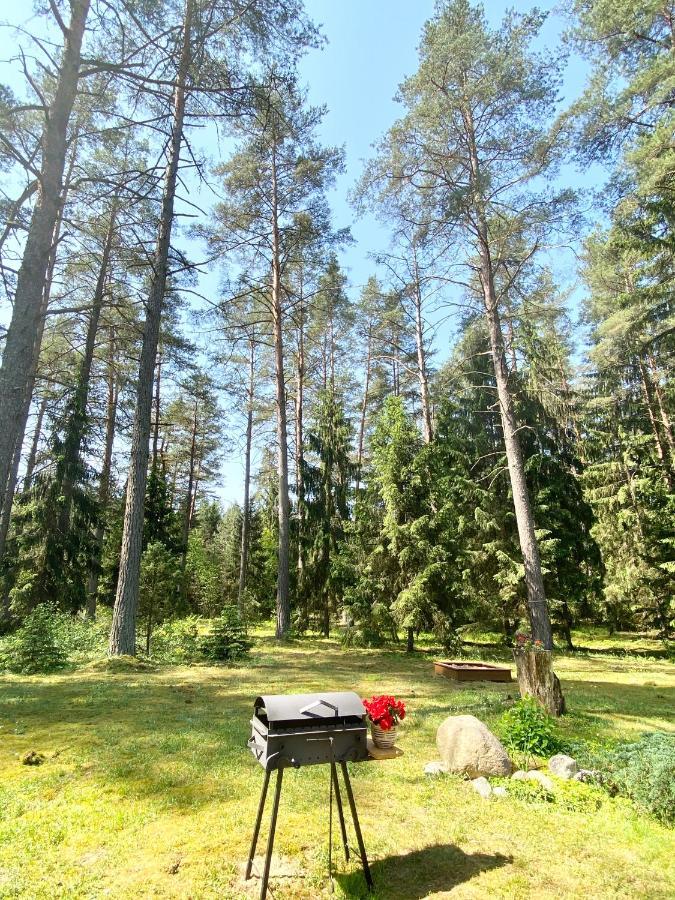Rojaus Slenis Villa Druskininkai Exteriör bild