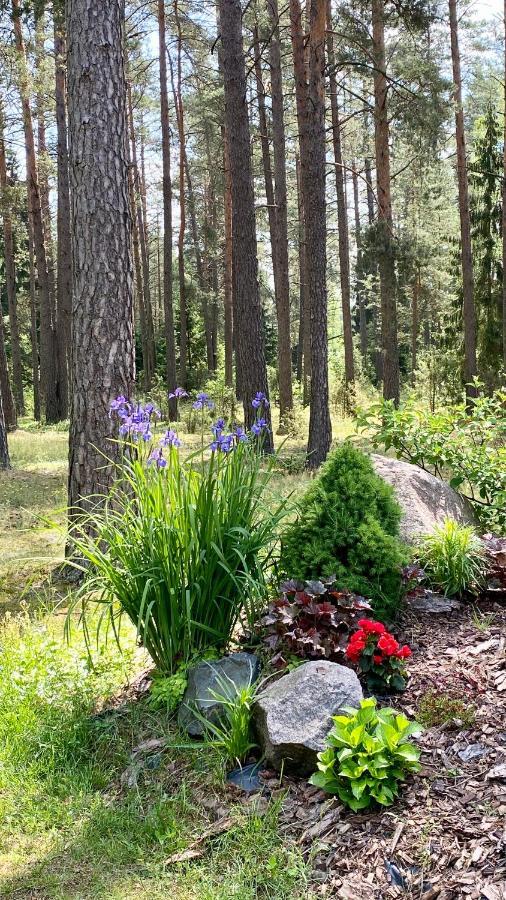 Rojaus Slenis Villa Druskininkai Exteriör bild