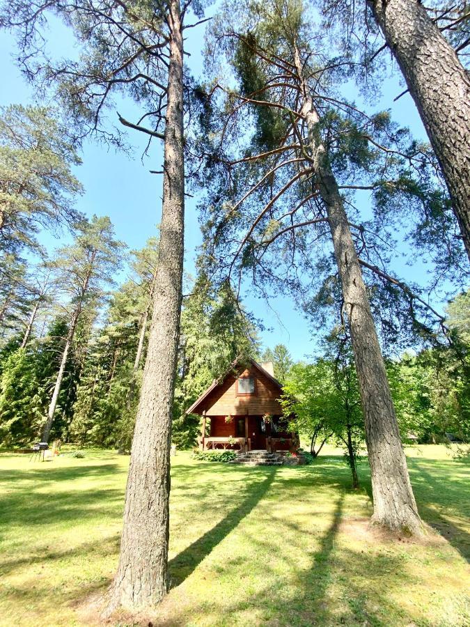Rojaus Slenis Villa Druskininkai Exteriör bild