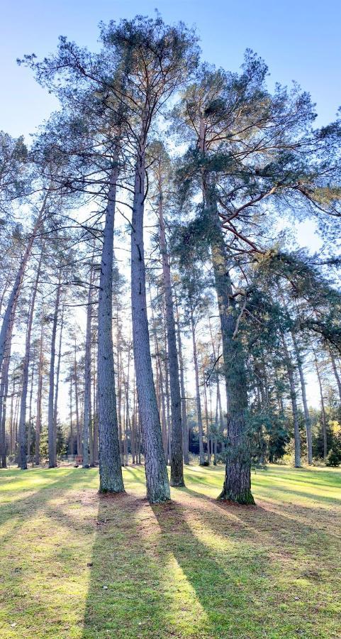 Rojaus Slenis Villa Druskininkai Exteriör bild