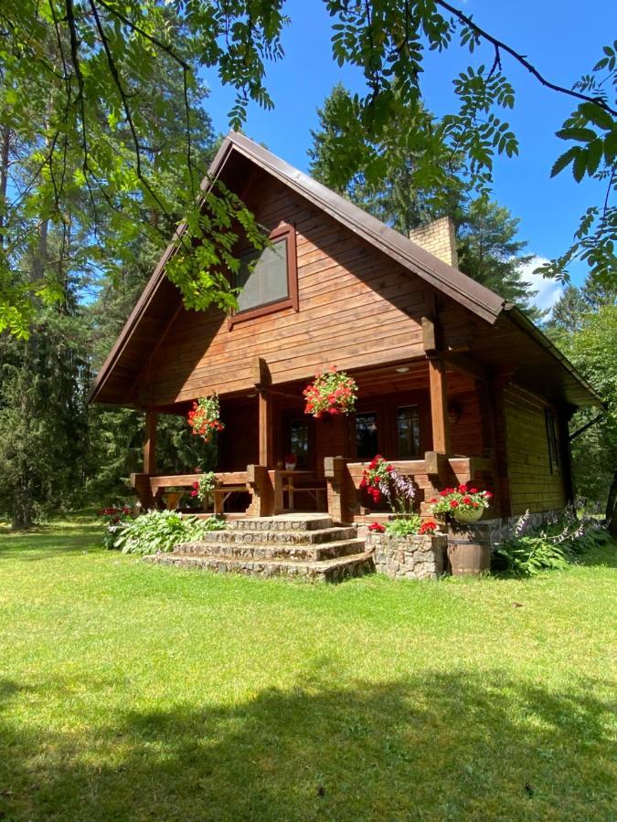 Rojaus Slenis Villa Druskininkai Exteriör bild