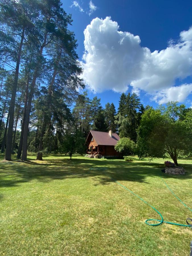 Rojaus Slenis Villa Druskininkai Exteriör bild