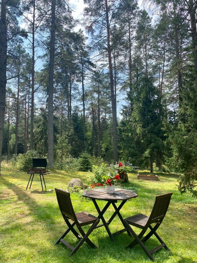 Rojaus Slenis Villa Druskininkai Exteriör bild