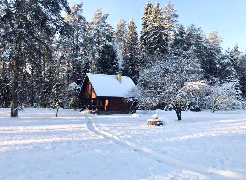Rojaus Slenis Villa Druskininkai Exteriör bild