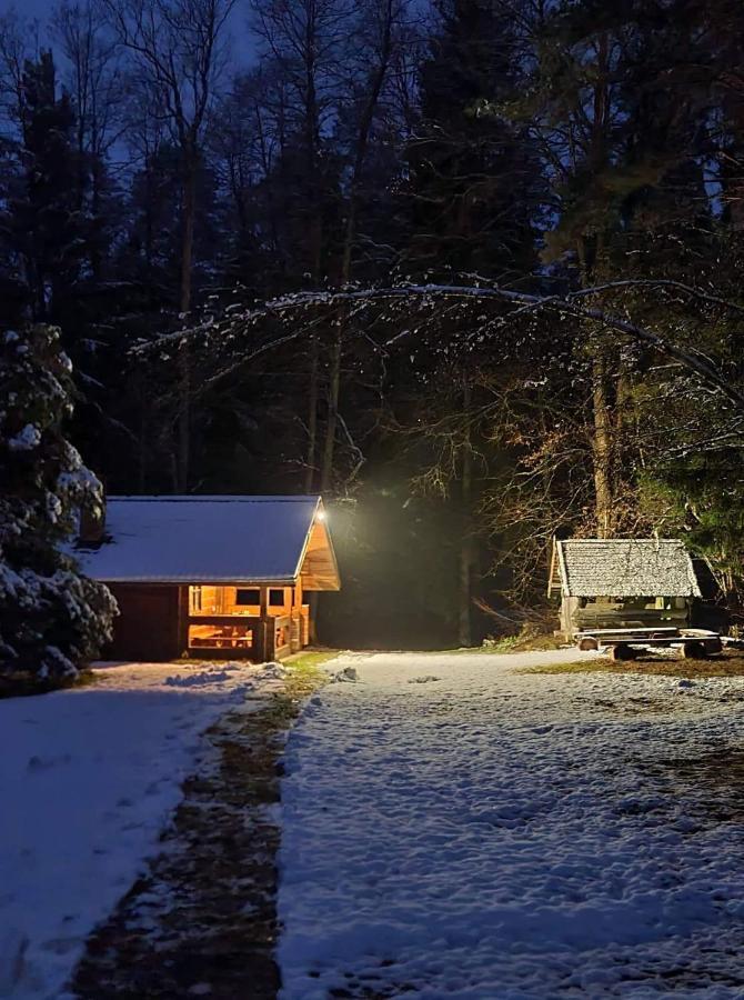 Rojaus Slenis Villa Druskininkai Exteriör bild