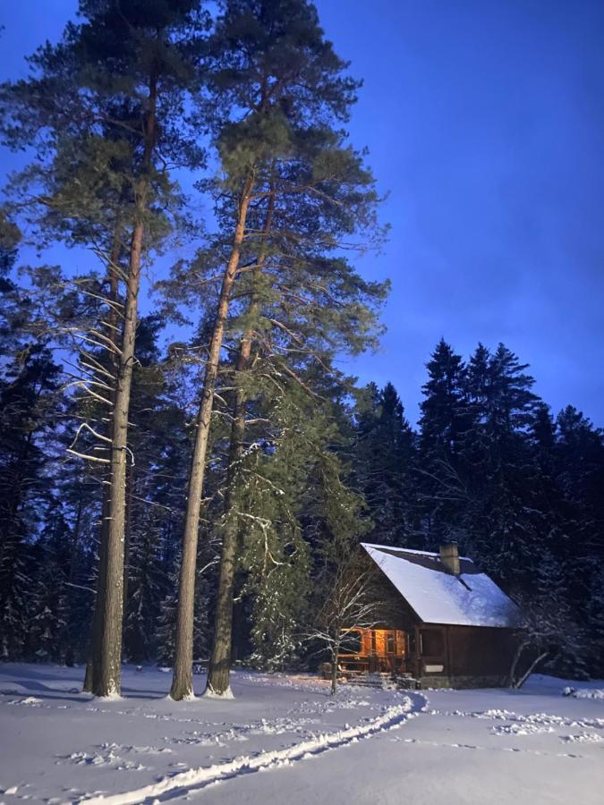 Rojaus Slenis Villa Druskininkai Exteriör bild