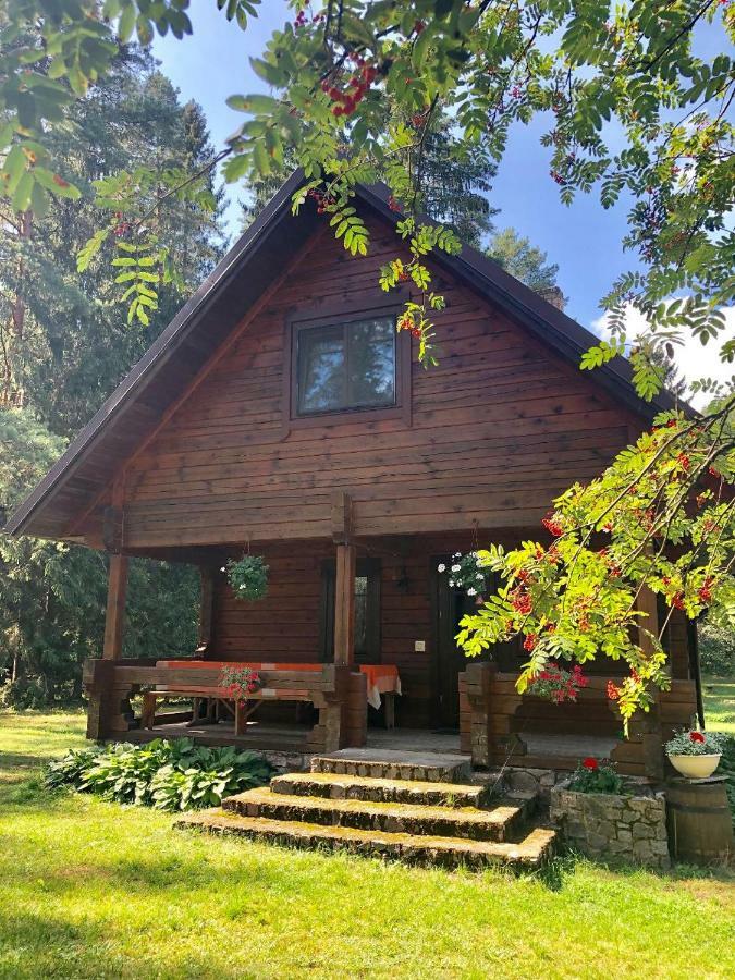 Rojaus Slenis Villa Druskininkai Exteriör bild