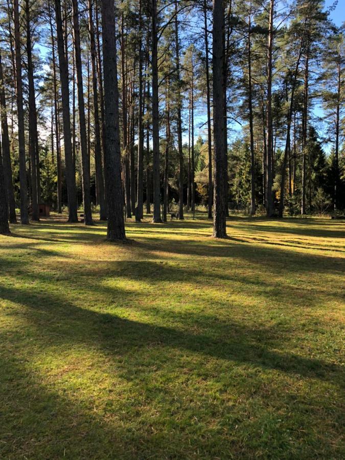 Rojaus Slenis Villa Druskininkai Exteriör bild