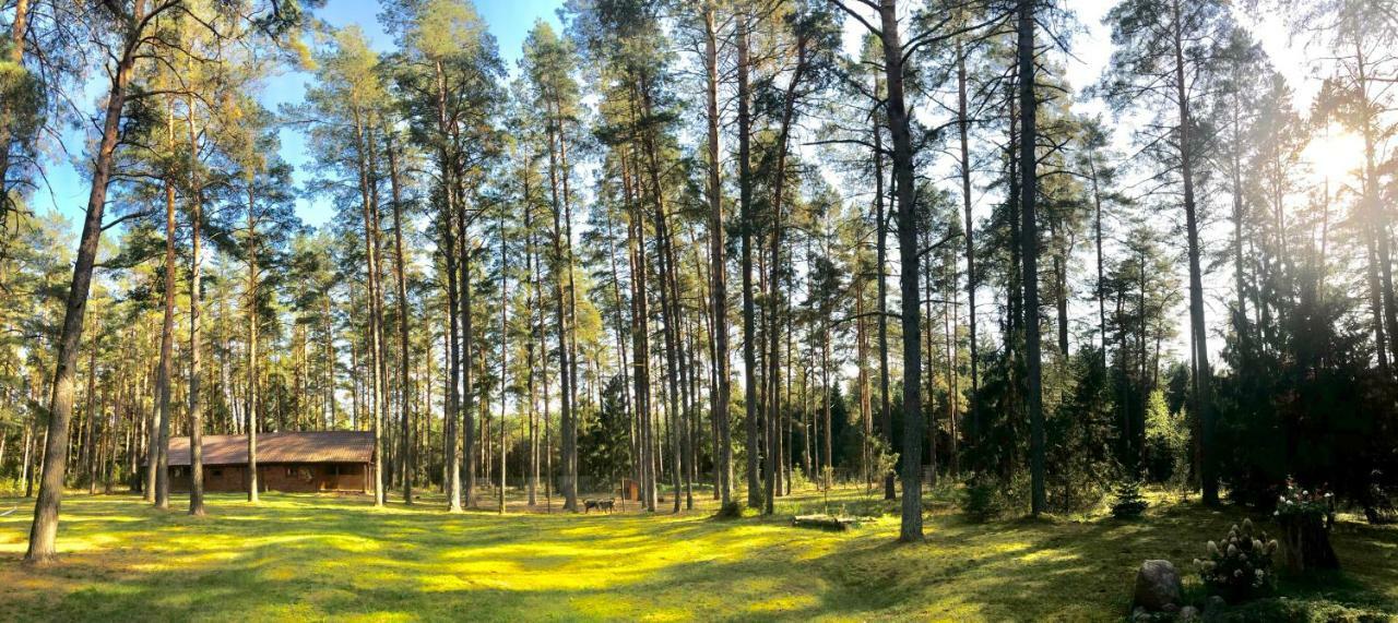 Rojaus Slenis Villa Druskininkai Exteriör bild