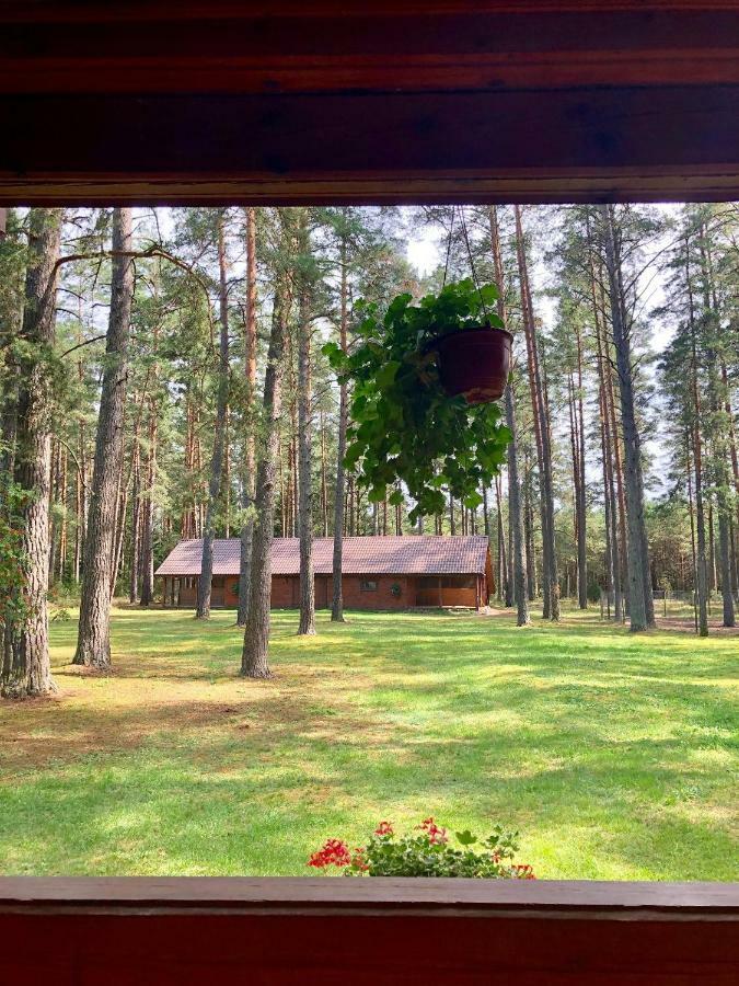 Rojaus Slenis Villa Druskininkai Exteriör bild