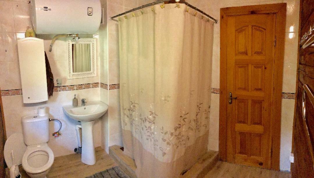 Rojaus Slenis Villa Druskininkai Exteriör bild
