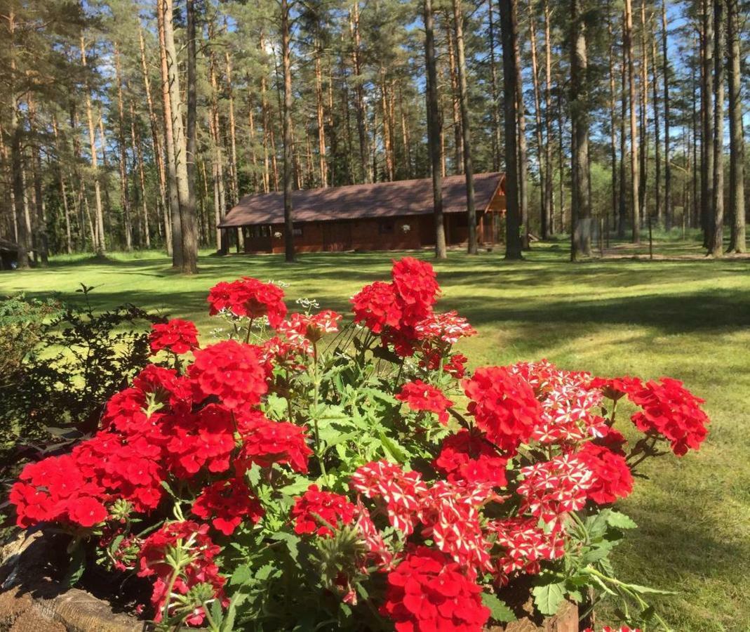 Rojaus Slenis Villa Druskininkai Exteriör bild