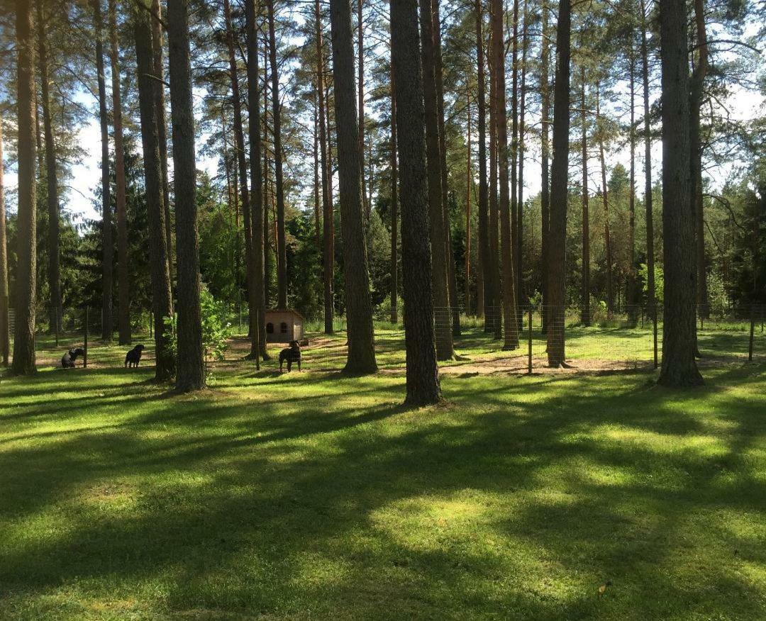 Rojaus Slenis Villa Druskininkai Exteriör bild